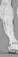 foot/leg